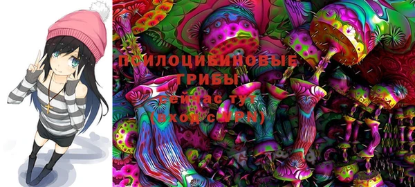 PSILOCYBIN Белокуриха
