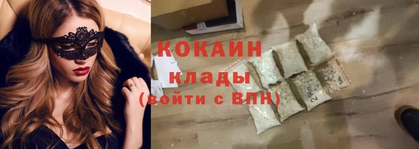 PSILOCYBIN Белокуриха