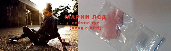 PSILOCYBIN Белокуриха