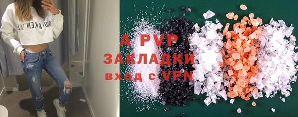 PSILOCYBIN Белокуриха