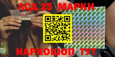 шишки Гай