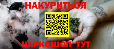 прущие грибы Гатчина