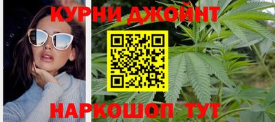сатива Гагарин