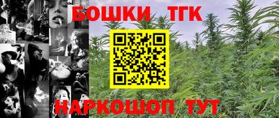 шишки Гай