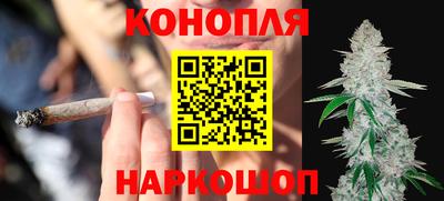 прущие грибы Гатчина