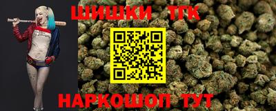 прущие грибы Гатчина