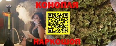 шишки Гай