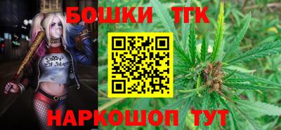прущие грибы Гатчина