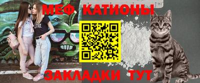 шишки Гай