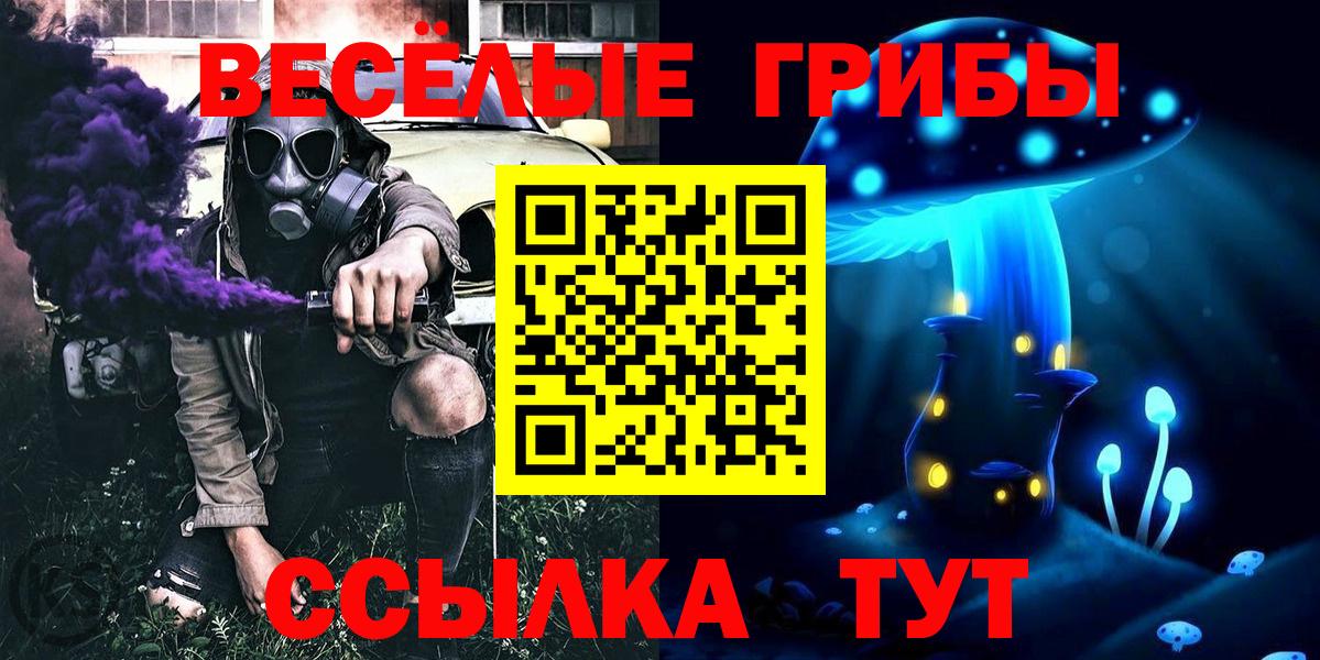 Псилоцибиновые грибы Cubensis Малоярославец